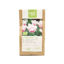 Natural-bulbs-biologische-bloembollen-tulp-siesta