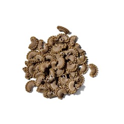 wilder-land-pasta-wildsage