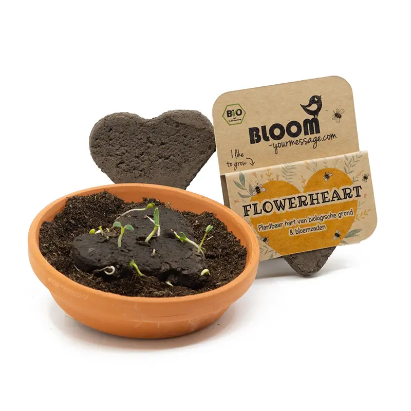 BLOOM Flower Heart met Zaden