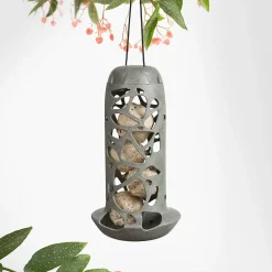 Bird Feeder 'Hello Tara' - Afbeelding 3