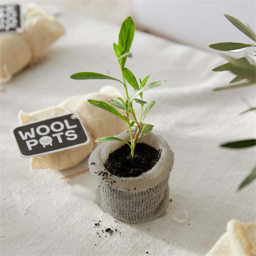 Wool pots plantenpotjes