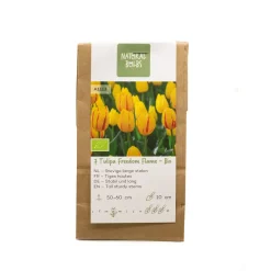 Biologische bloembollen tulp freedom flame