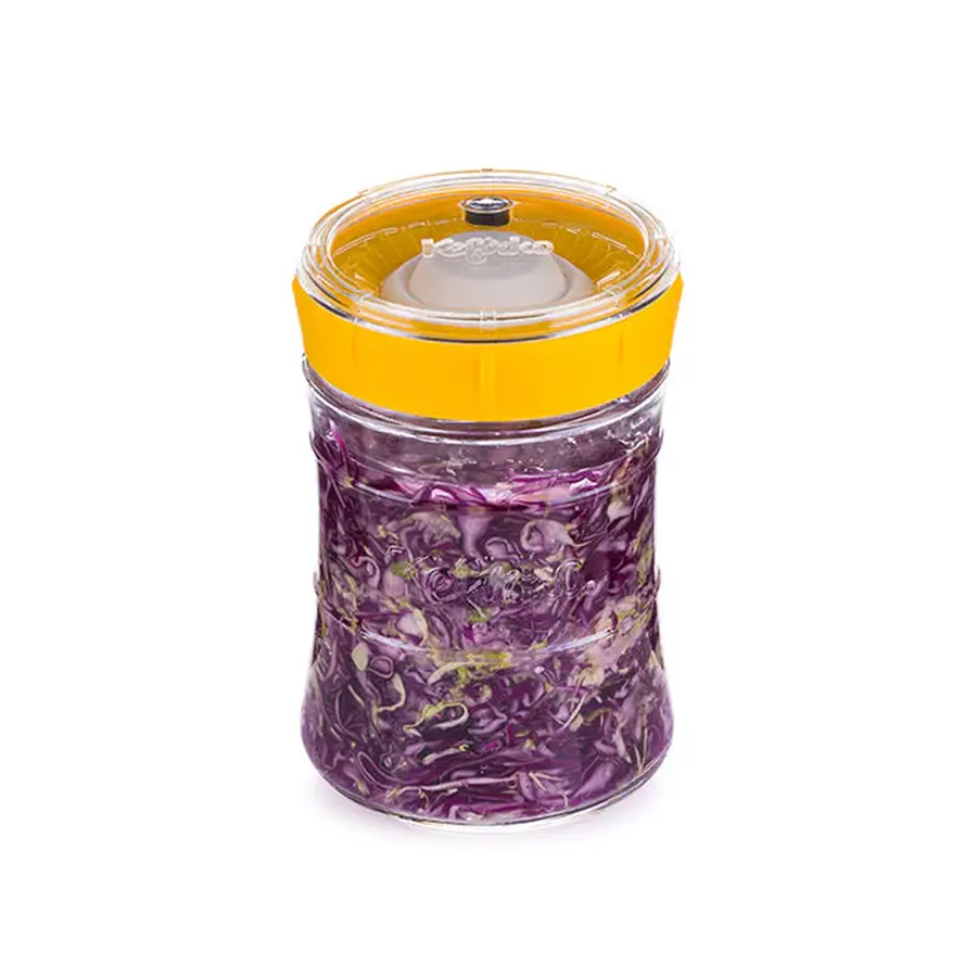 kefirko veggie fermenter kool
