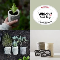 wool pots best buy