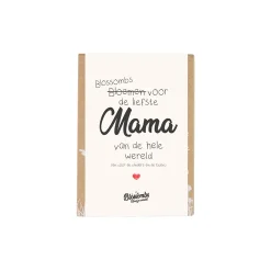 blossombs giftbox mini4 liefstemama