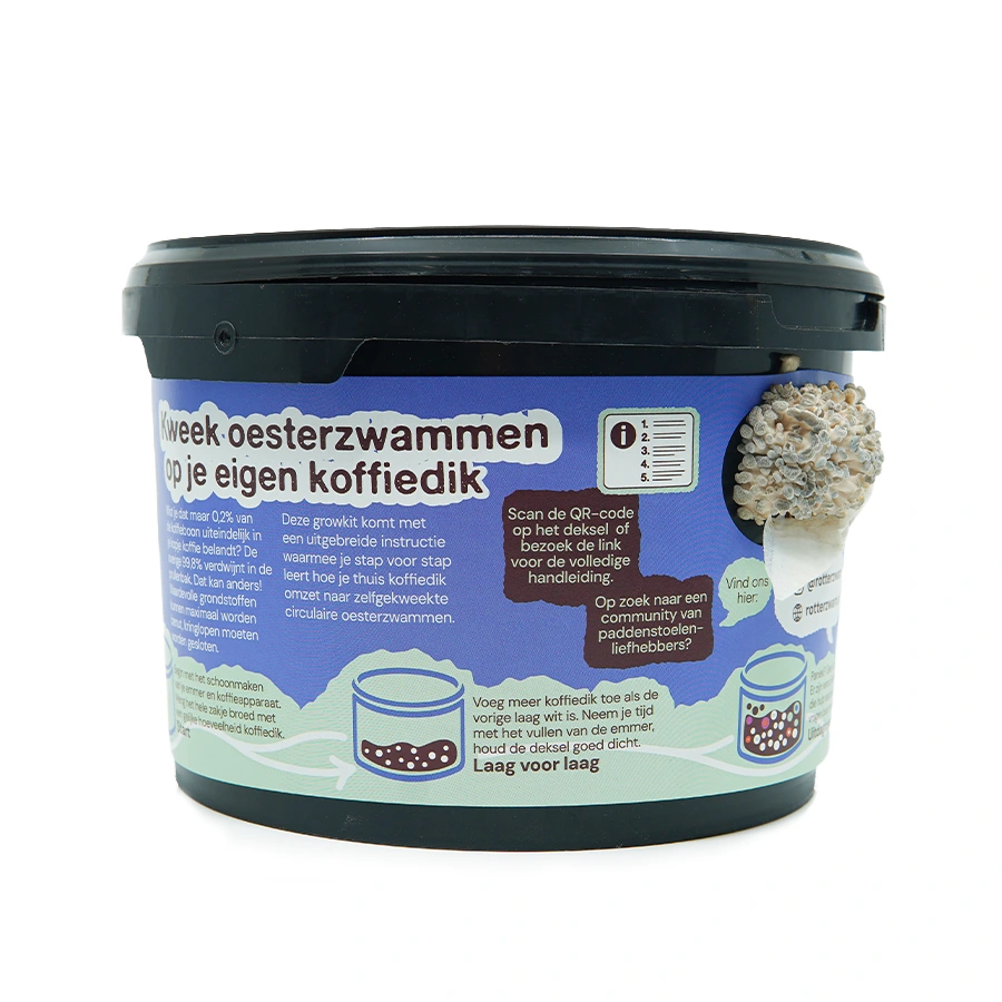 Rotterzwam kweek kleine groei